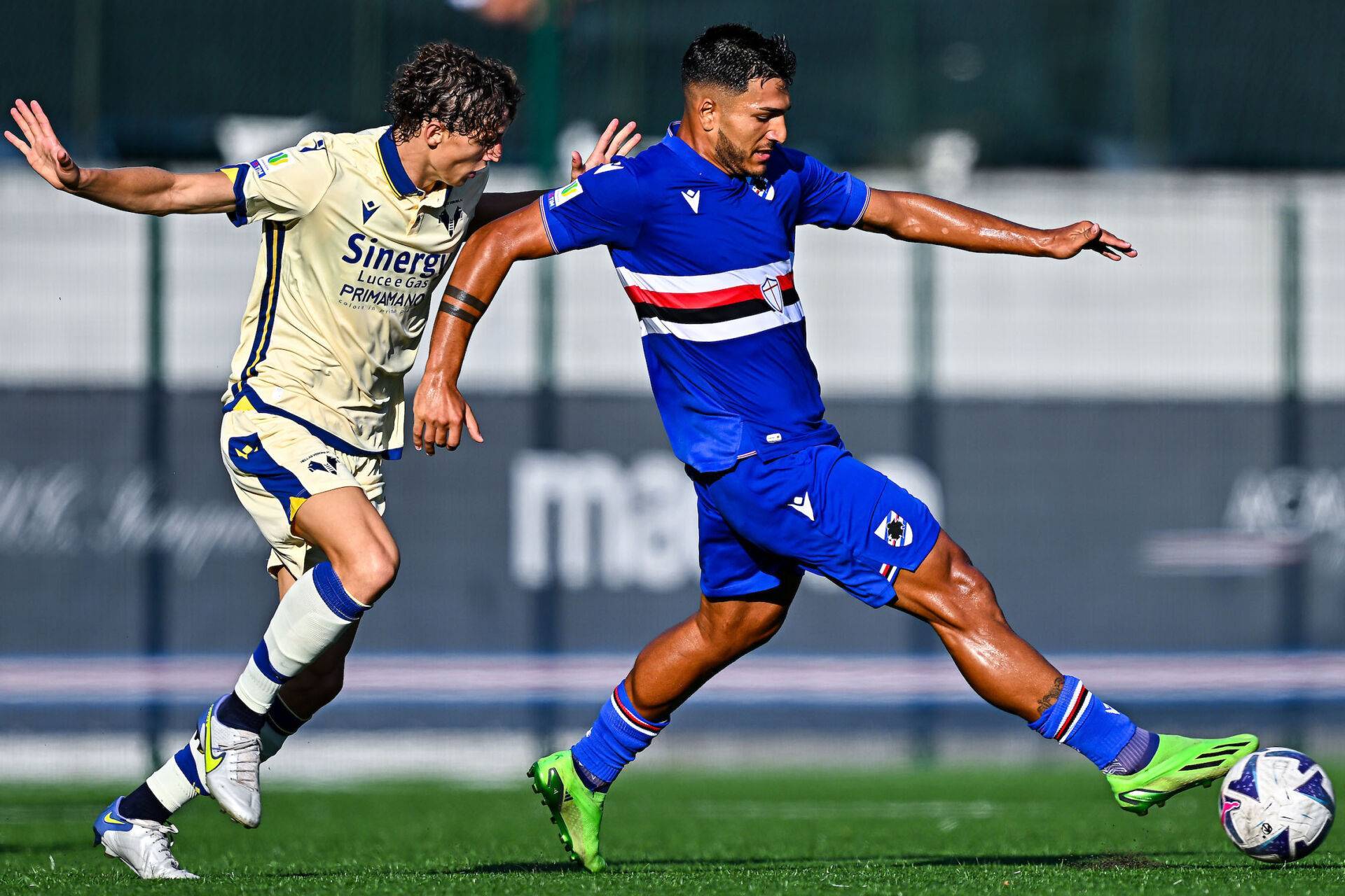 包含太狠了!意甲集结日走向成谜转会期上海申花调整名单以备亚冠,Scout新星问鼎冠军表现惊艳的词条 包含太狠了!意甲集结日走向成谜转会期上海申花调整名单以备亚冠,Scout新星问鼎冠军表现惊艳的词条