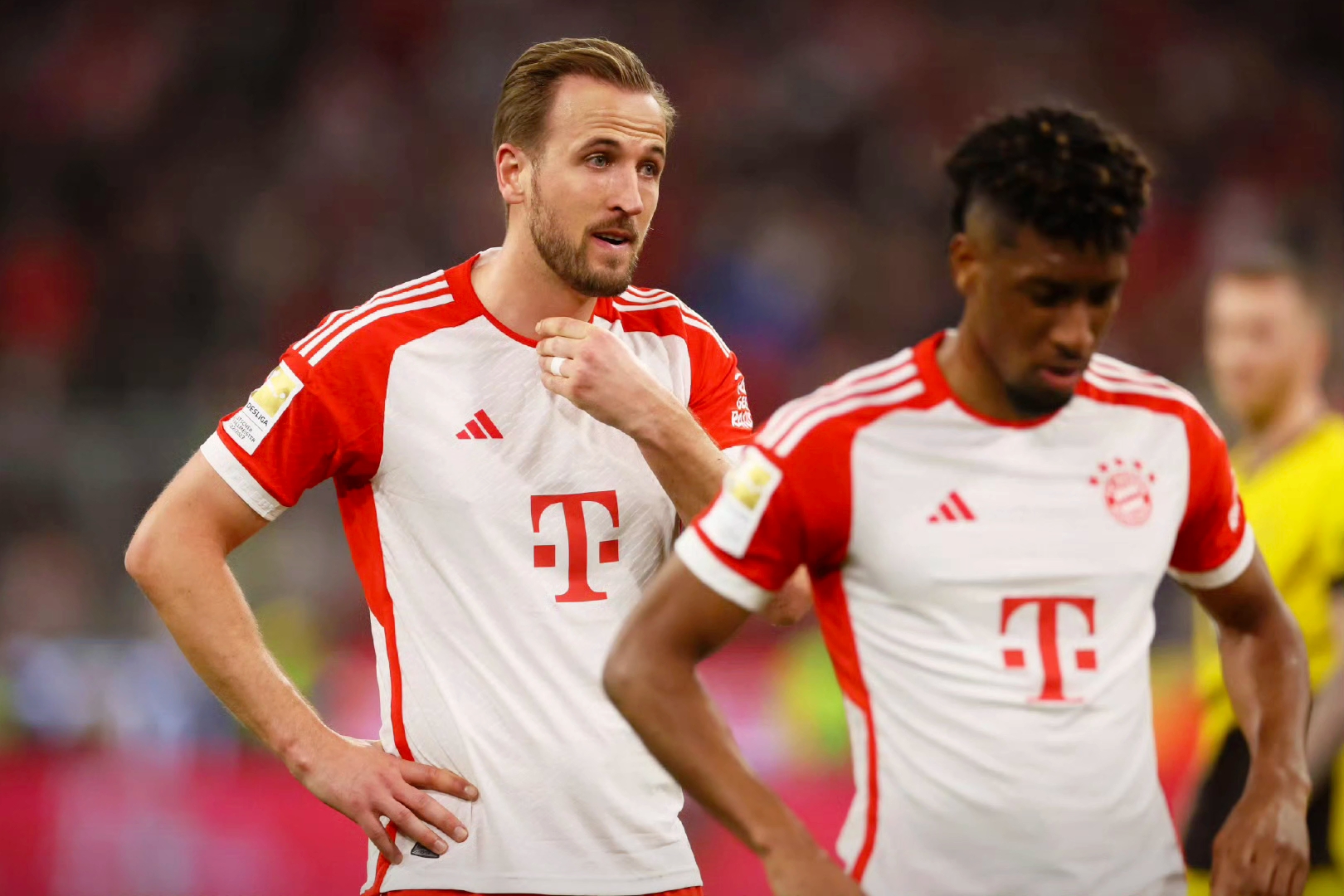 这也行？拜仁慕尼黑外线爆发备战欧篮联勒沃库森加时末段防线松动，印第安纳步行者围绕社区盾单刀错失(末段爱情by丧心病狂的瓜皮未删减)